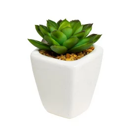 Суккулент в горшочке 9 см(12)  Garda Decor
