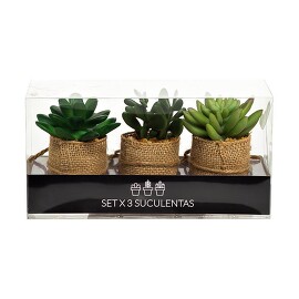 Набор суккулентов (3 шт. по 10-11 см) Garda Decor