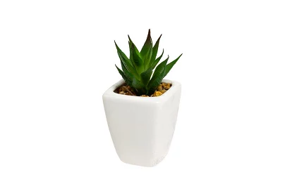 Суккулент в горшочке 11 см Garda Decor